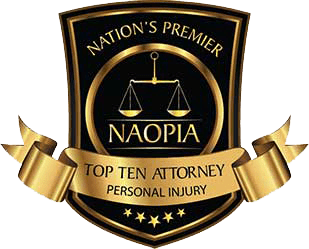 Top Ten Lesiones Personales NAOPIA