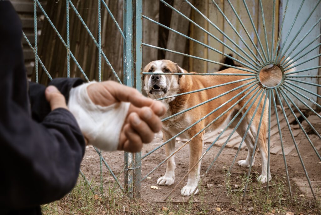 Arlington Abogados de mordedura de perro